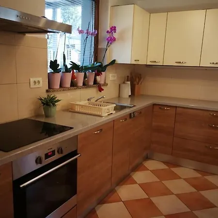 Snoopy House Zuzemberk