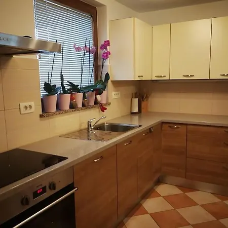 Snoopy House Apartment Zuzemberk