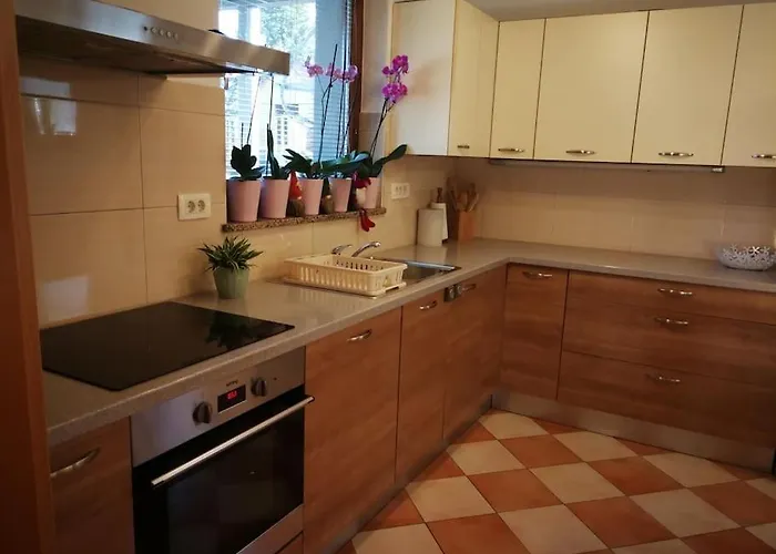 Snoopy House Zuzemberk