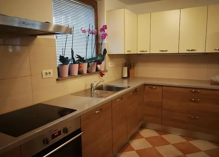 Snoopy House Daire Zuzemberk